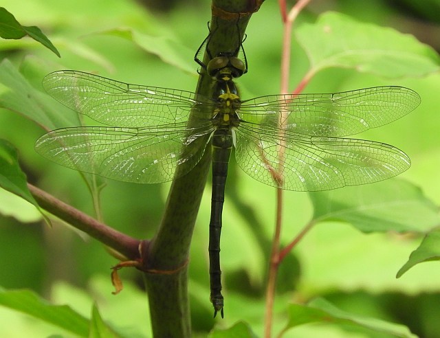 f0378979_18161242.jpg