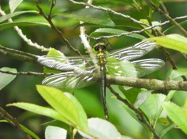 f0378979_18181353.jpg