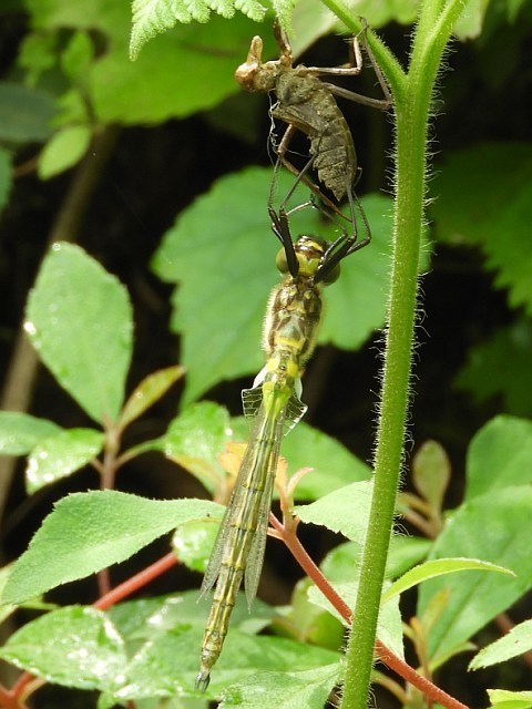 f0378979_18212250.jpg