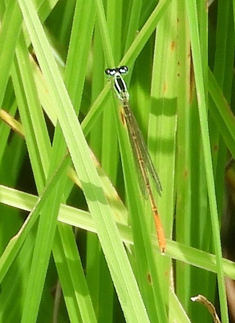 f0378979_18491142.jpg