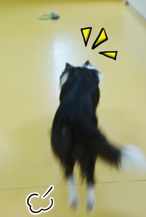 ロープ大好き!_f0357682_12012459.jpg