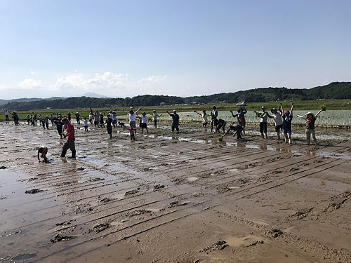 田植え体験(目黒角田絆交流田)_d0247484_18472569.jpg