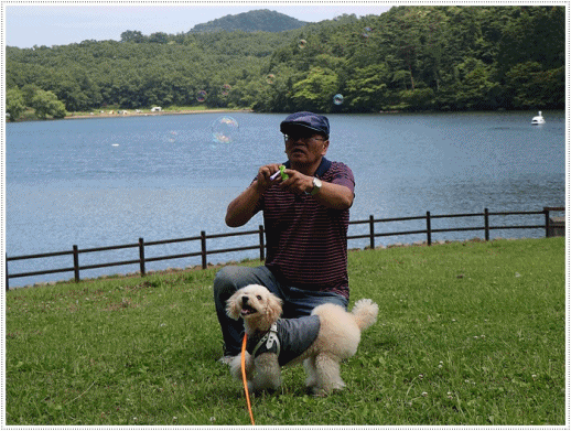 b0175688_01072230.gif