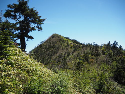 e0015490_20122042.jpg