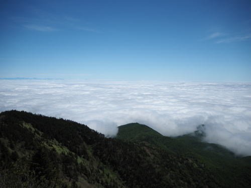 e0015490_20202339.jpg