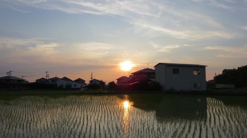 夕焼け_b0120891_11500245.jpeg