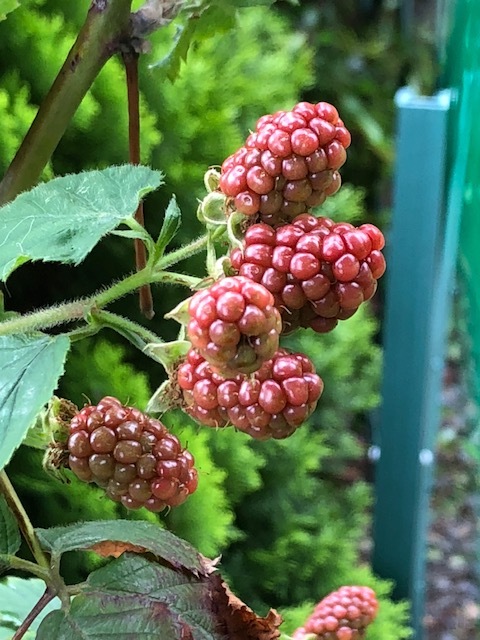 b0289696_12210125.jpg
