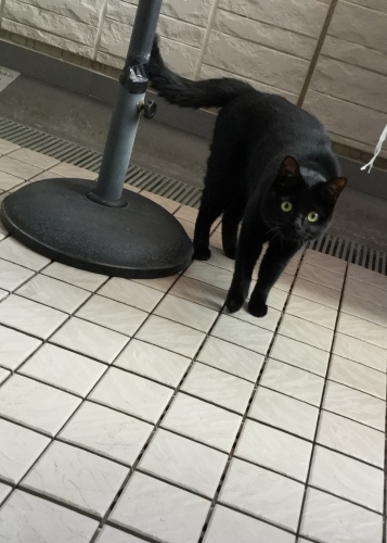 虫干し？？_e0358096_20312555.jpeg