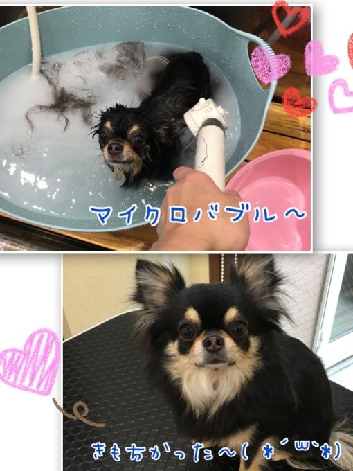 d0269898_18332063.jpeg