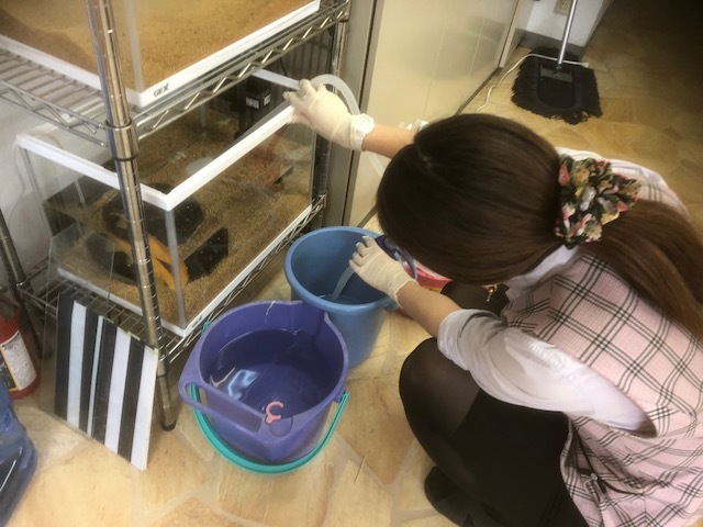 6月23日(土)☆TOMMYアウトレット☆あゆブログ٩(•̤̀ᵕ•̤́๑)ᵒᵏパレットM様納車♪ご成約・AZワゴンY様☆キューブS様☆エスティマO様☆ハイエースS様買取★_b0127002_18085546.jpg