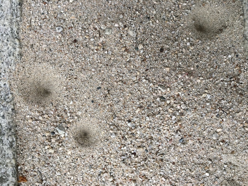 b0220002_23140648.jpeg