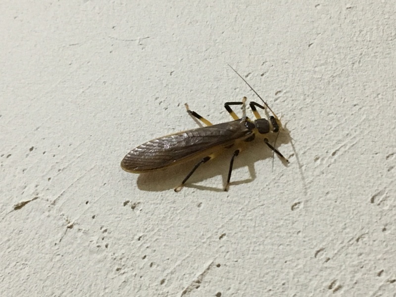 b0220002_23171434.jpeg