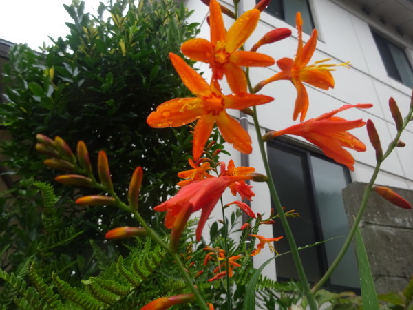 f0231709_09320761.jpg