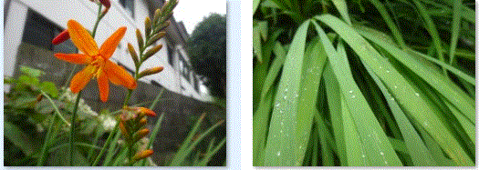 f0231709_09343079.gif