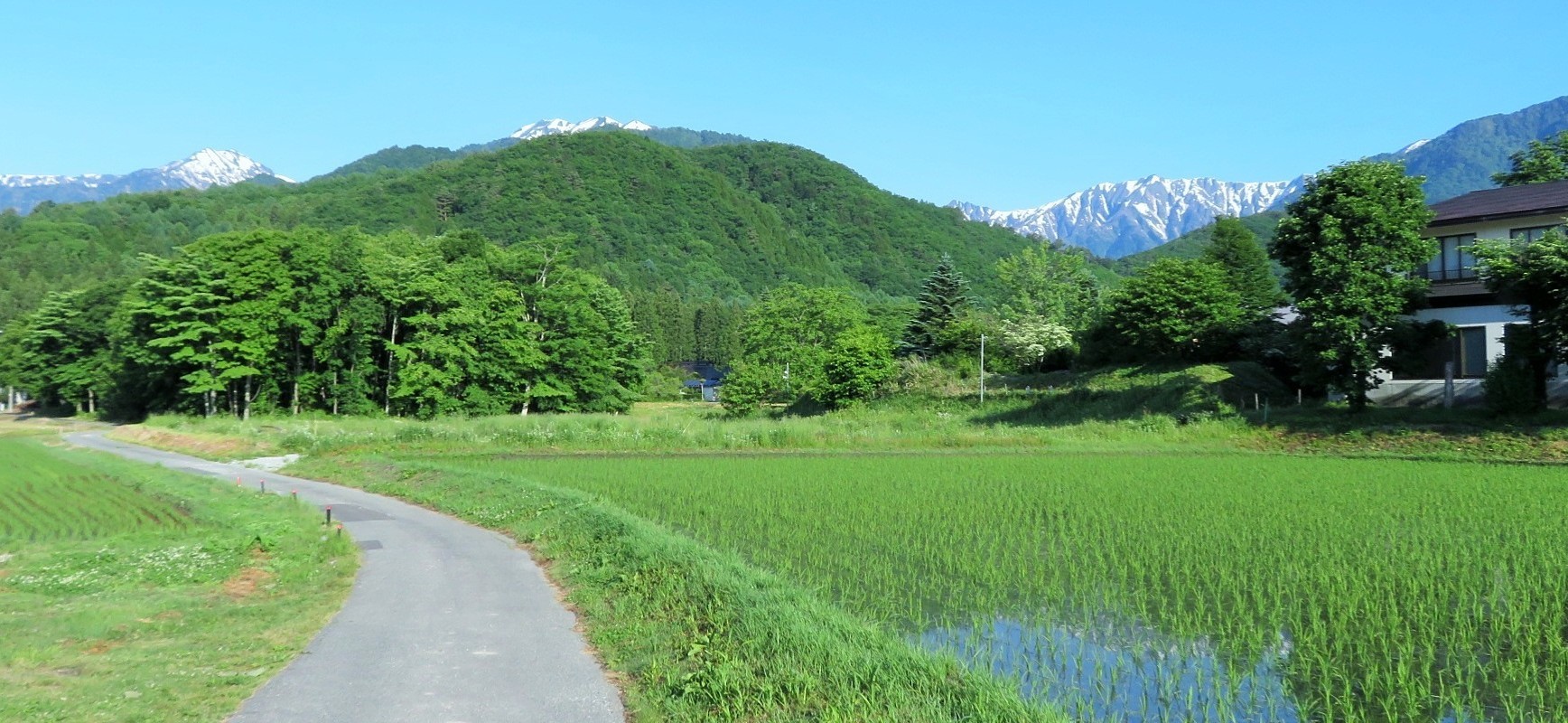 初夏の立山.2　ときしらずの宿　織花　@信濃大町温泉郷_f0032812_19493886.jpg