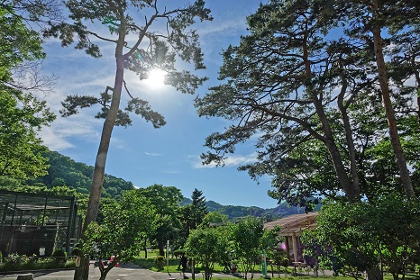 a0151913_1154529.jpg