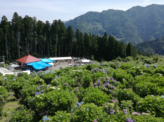 d0157313_14275072.jpg