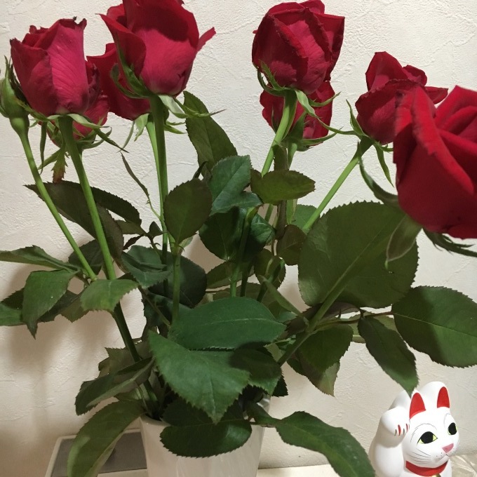 a0240026_21073576.jpeg
