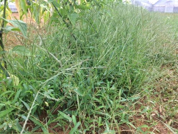 d0375829_21491347.jpeg