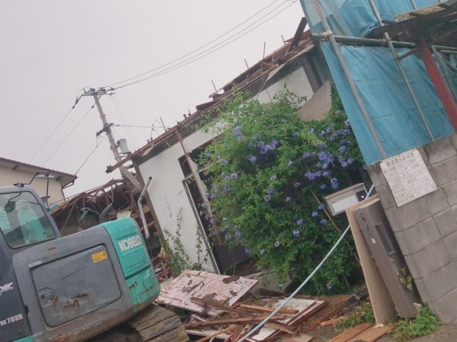 c0367433_01293547.jpeg