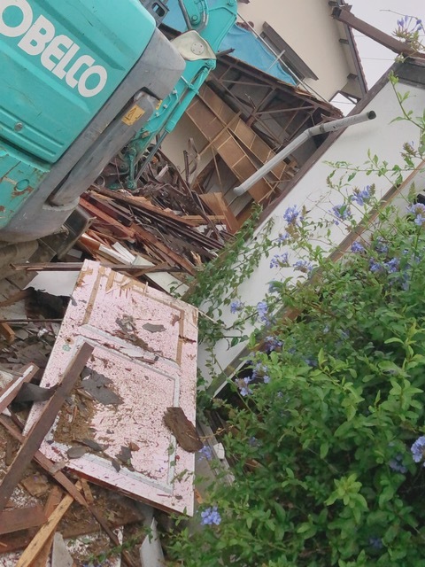c0367433_01304710.jpeg