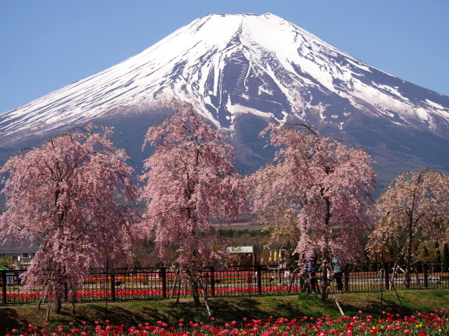 富士山の詩_b0343934_23194468.jpg