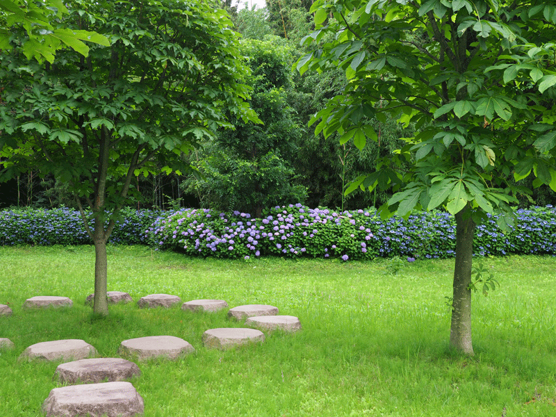 d0290240_11113990.gif