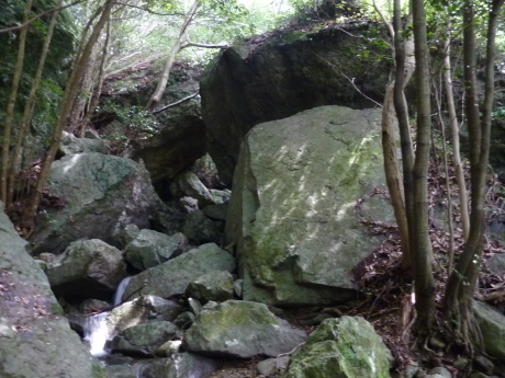 登山教室実技 『丹生山系』 ロングコースの歩き方_c0218841_11415712.jpg