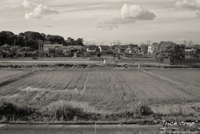 a0206748_16540143.jpg