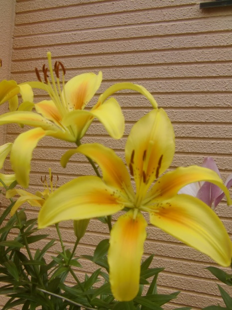 f0329849_22112073.jpg