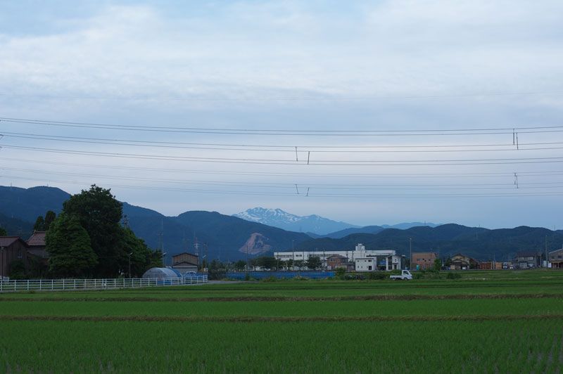 d0342652_1854274.jpg
