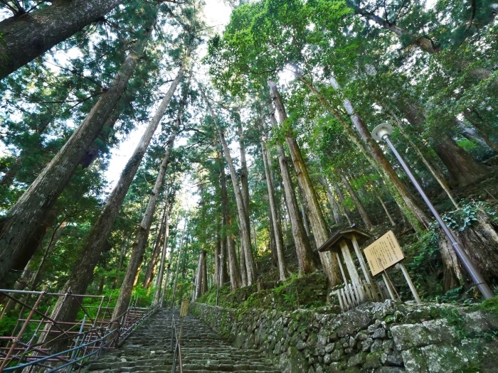 　　南紀の旅　那智の滝へ　　２０１８-０６-２４　００：００ 　　_b0093754_23234150.jpg