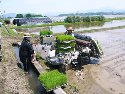 砂田のこだわりれんげ米 田植えを現地取材(2018)後編 ここでしか買えないお米です!!_a0254656_17400697.jpg