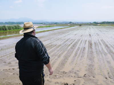 砂田のこだわりれんげ米　田植えを現地取材(2018)後編　ここでしか買えないお米です!!_a0254656_18034009.jpg