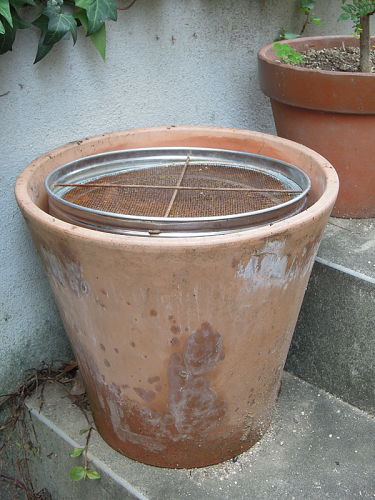 e0117156_16101075.png