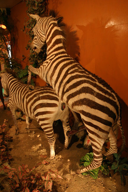 f0395158_02265511.jpg