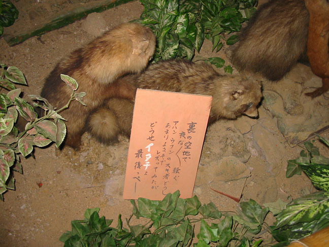 f0395158_02265958.jpg