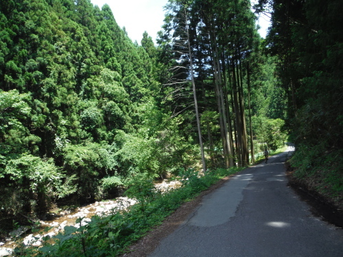 伊勢本街道サイクリング_b0332867_23250077.jpg