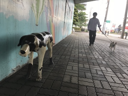 d0048577_20313054.jpeg