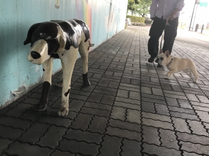 d0048577_20321894.jpeg