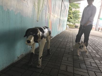 d0048577_20333148.jpeg