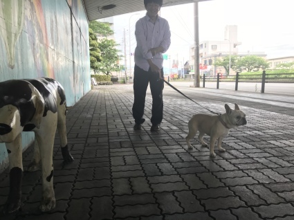 d0048577_20351417.jpeg