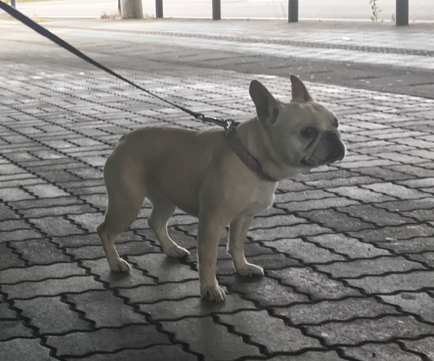 d0048577_20364807.jpeg