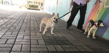 d0048577_20440595.jpeg