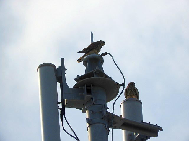 f0378979_14463781.jpg