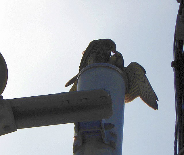 f0378979_14511787.jpg