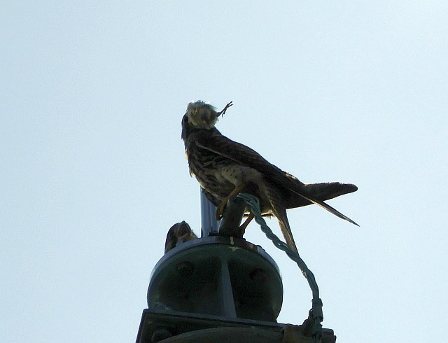 f0378979_14521373.jpg