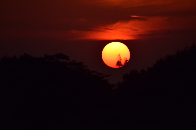 夏至の日の夕焼け_d0377780_21200671.jpg