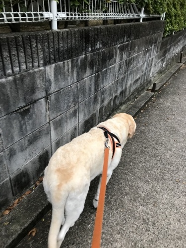 f0315081_22323509.jpeg