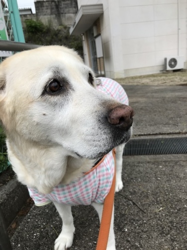f0315081_22452671.jpeg